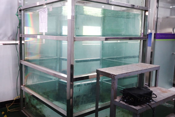 防水接線盒 防水接線盒